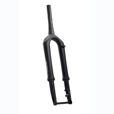 Cane Creek Invert CS Gravel Fork 40mm with Ancora expander plug and 52mm bearing