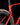 2026 Cervelo S5 Red Xplr Axs 1 Carnelian