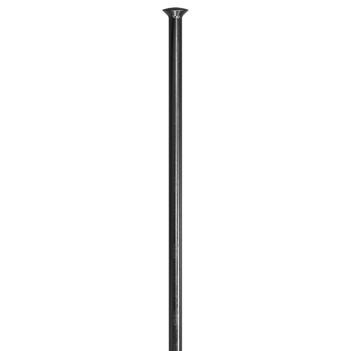36 Rayons DT Swiss Competition Inox Double Butée - 268 Mm 36 Rayons DT Swiss Competition Inox Double Butée - 268 Mm