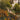 terreno-t60-mixed-gravel-endurance-06