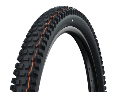 Schwalbe Albert Radial 29"