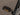Ergon Pedal Pt S
