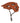 2020-TRIGGER-AM-MIPS-Burnt-Orange-Side
