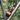 Granite Design XE Portaledge Strap Mount