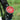 The Engine Start/Stop Stem Cover