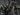 AMS_Frame_Guard_Extra_Couture Fitted