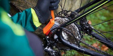 Fenwicks Gear Cleaning Brush in use